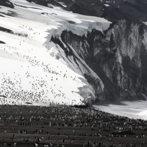 Saunders Island, South Sandwich Islands. Credit: Jim Wilson