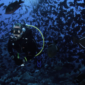 Intro diver, Ascension Island. © Paul Colley 2015 www.mpcolley.com