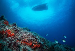 St Helena's crystal clear waters